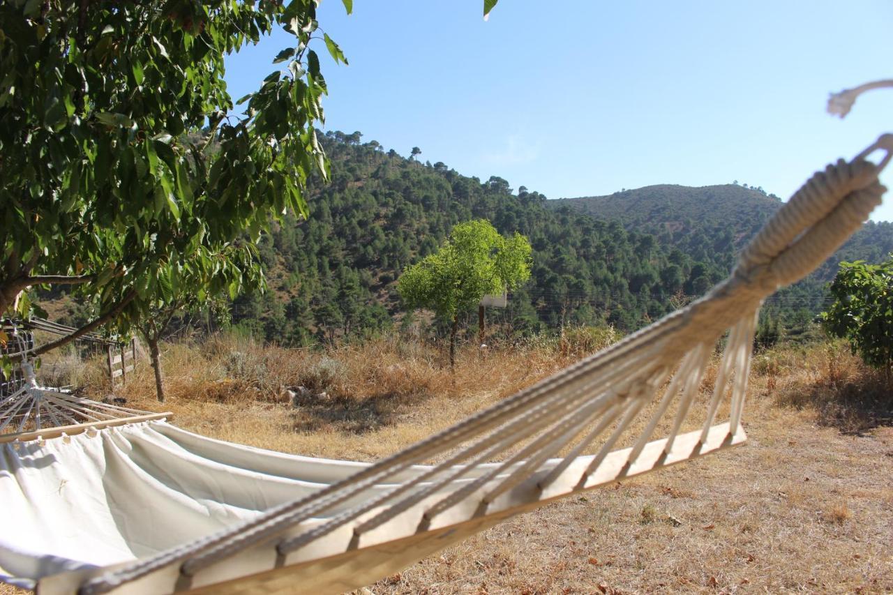Esencia Lodge - Luxurious Off-Grid Cabin Retreat Almuñécar エクステリア 写真